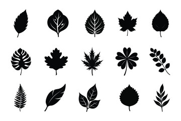 Set of leaf silhouette  vector , Black leaf silhouette  