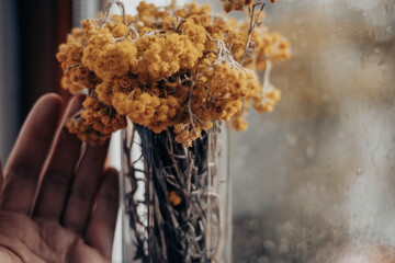 A hand reaches towards a vase with dried yellow flowers, a soft and calming indoors scene. A palm...