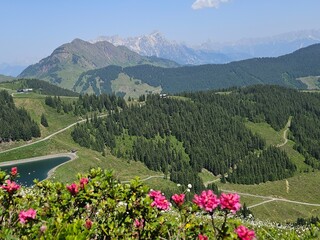 Wanderung zum Reiterkogel in Hinterglemm