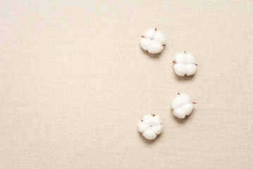 Fluffy white cotton bolls on beige linen background, top view, flat lay
