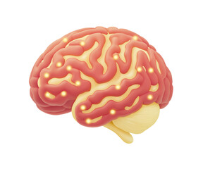 Detailed Illustration of a Human Brain with Neural Pathways Highlighted