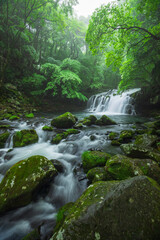 waterfall in the green forest