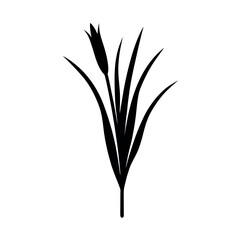 Lemongrass stalk silhouette in clean sharp lines Line Art Vector illustration