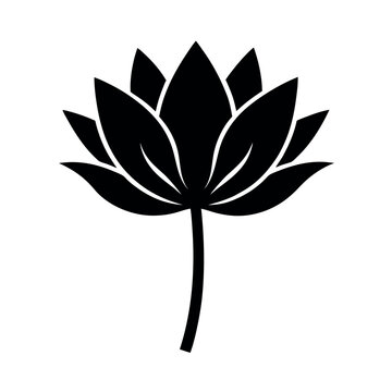 Minimal lotus stem in clean botanical layout Line Art Vector illustration