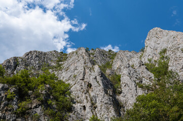 Turda Gorge rock formations with green vegetation in Transylvania, Romania