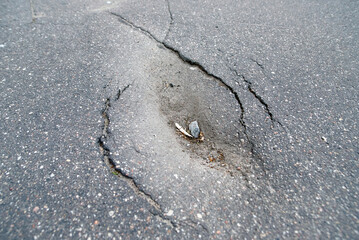 Asphalt dent, damaged asphalt road, cracking in older asphalt pavements. Pot hole. Depression in asphalt surface caused by subgrade settlement. Poor compaction during the paving process