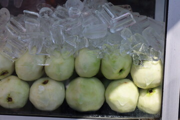 guava fruit being sold and chilled with ice cubes