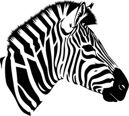 Black and white profile view of a zebra's head and neck.