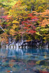 法体の滝の紅葉。由利本荘、秋田、日本。10月下旬。