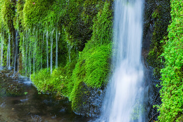 small waterfall in the forest