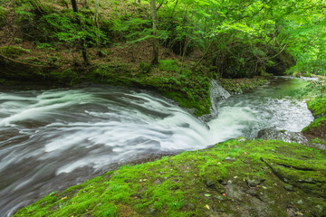 waterfall in the green forest