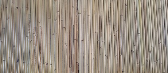 Fototapeta premium Vertical Bamboo Sticks Natural Wall Background