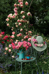 Rose Pierre de Ronsard in garden with berries