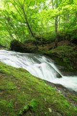 waterfall in the green forest