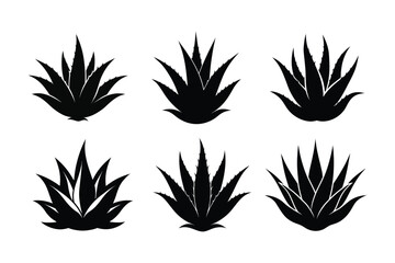 Black Aloe vera silhouette vector 