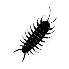 Fototapeta premium Long centipede crawling in segmented form Line Art Vector illustration