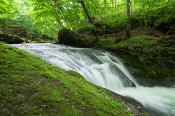 waterfall in the green forest