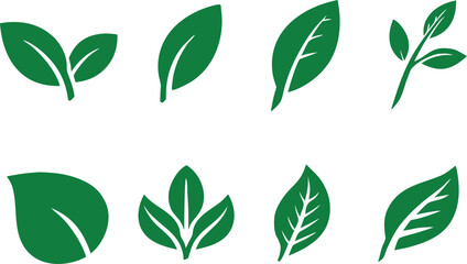 Variety of green leaf, organic set, sprout plant, foliage different shape, eco symbol isolated on white background. Herbal nature illustration