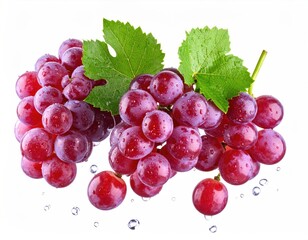 Fototapeta premium Fresh red grapes with leaves and water droplets