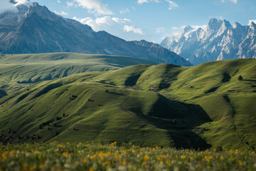 Beautiful high altitude snow capped mountains and forest grassland landscape in China