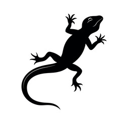 Lizard crawling with elongated body and tail Line Art Vector illustration