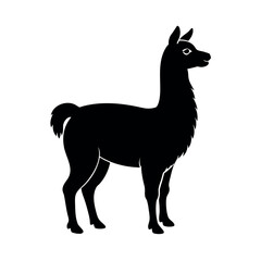 Obraz premium Friendly llama in calm upright position Line Art Vector illustration