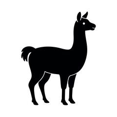 Naklejka premium Elegant llama standing with fluffy coat Line Art Vector illustration