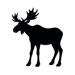 Obraz premium Moose standing still in its wild habitat Line Art Vector illustration