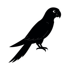 Obraz premium Tropical parrot perched showing vibrant form Line Art Vector illustration