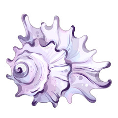 Delicate summer ocean shell representing relaxation and beach vibes perfect for holiday celebrations and commercial use in vacation themed materials