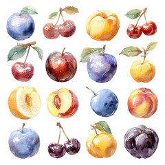 Colorful Watercolor Fruit Collection Isolated On White