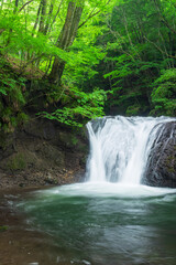 waterfall in the green forest