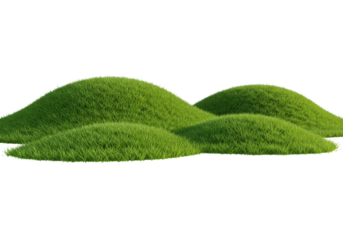 Vibrant, lush green grass, meticulously detailed with individual blades, covering gently rolling hills with sharp contours, isolated on a transparent background with ample copy space, minimalist