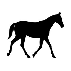 Obraz premium horse silhouette isolated on white