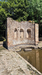 Ancient ruins in the forest