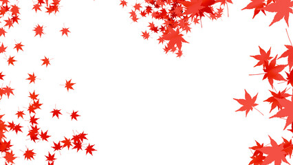 秋の紅葉の乱舞：背景透過