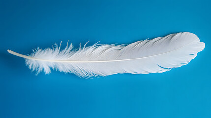 Obraz premium A single white feather on a bright blue background. Lightness and simplicity.