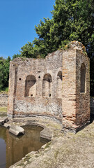 Ancient ruins in the forest