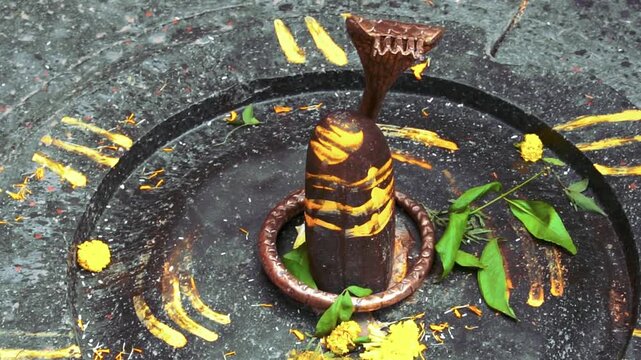 Shivling with Snake and Banana Offerings &ndash; Morning Pooja