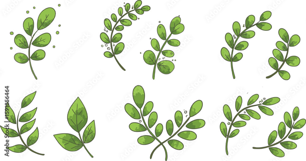 Poster vector art of collection of green leaf branch illustrations isolated on transparent background for d