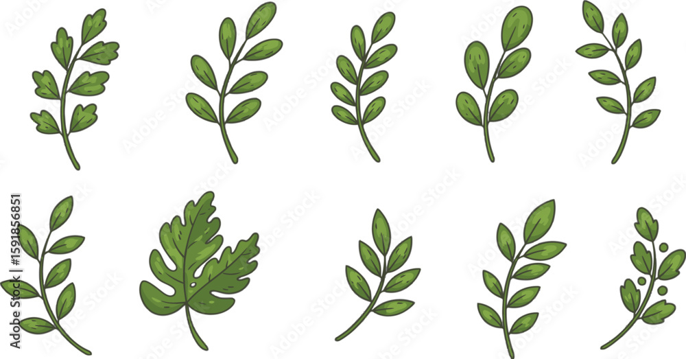 Poster vector art of collection of green leaf branch illustrations isolated on transparent background for d