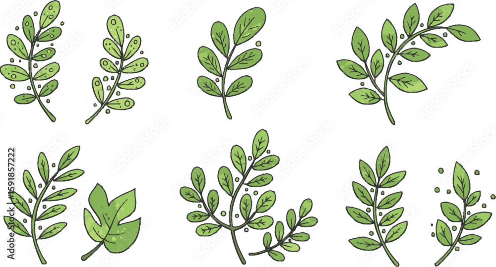Poster vector art of collection of green leaf branch illustrations with dots isolated on transparent backgr