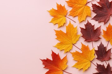 Fototapeta premium Colorful Autumn Maple Leaves Arranged on Light Pink Background for Fall Decor.