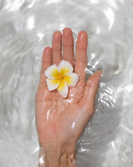Hand Floating in Clear Water with Plumeria Flower for Wellness Concept