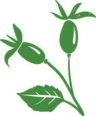 Medicinal Plant Vector