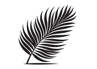 Obraz premium palm leaf logo silhouette vector, tropical palm leaf silhouette vector illustration, palm tree leaf black silhouette, simple black silhouette palm leaf logo silhouettes vector on a white background