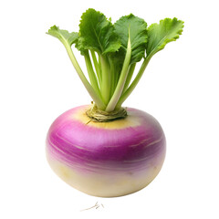 Fresh Turnip with Green Leaves Isolated on Transparent Background