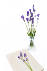 A vertical composition with a glass vase of fresh lavender and an open notebook with a lavender sprig on top. Bright, minimalist setting evokes calm and inspiration.