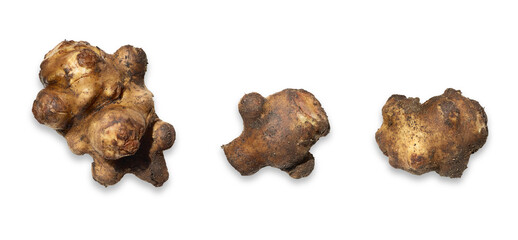jerusalem artichokes isolated on transparent background
