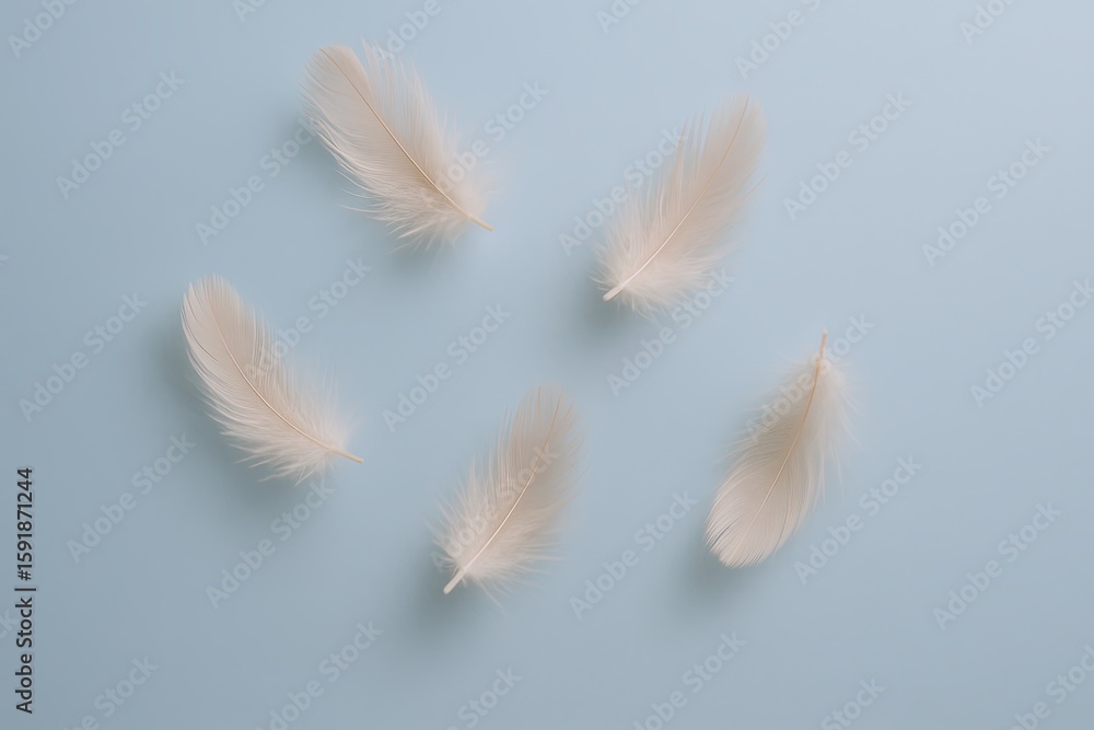 Poster delicate white feathers floating on a soft pastel blue background with space.